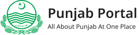 Punjab Government